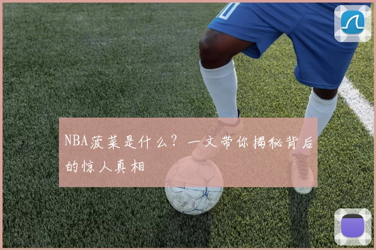 NBA菠菜是什么？一文带你揭秘背后的惊人真相