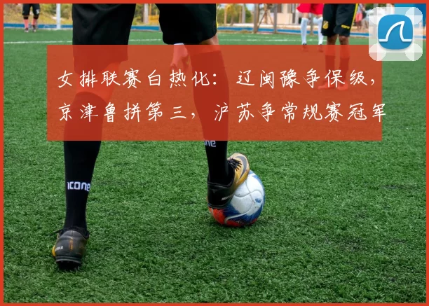 女排联赛白热化：辽闽豫争保级，京津鲁拼第三，沪苏争常规赛冠军