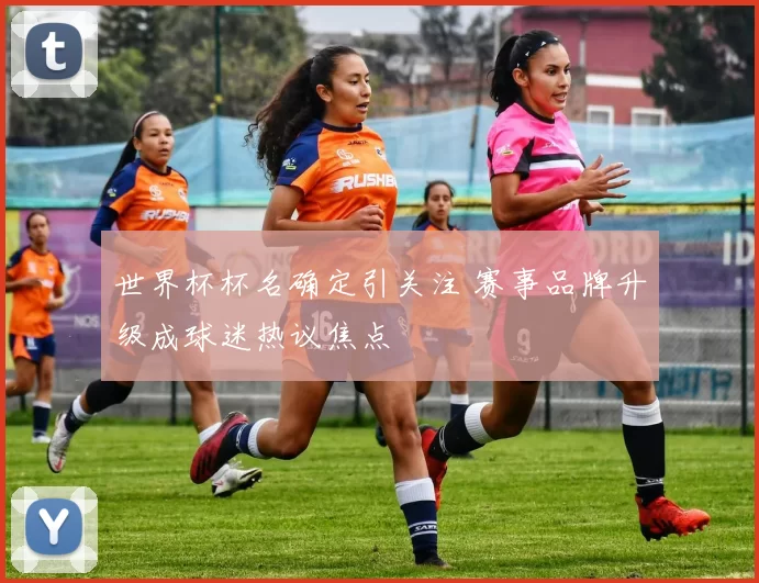 世界杯杯名确定引关注 赛事品牌升级成球迷热议焦点