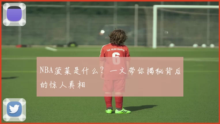NBA菠菜是什么？一文带你揭秘背后的惊人真相